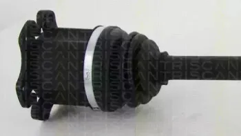 triscan-854029678