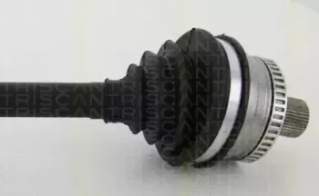 triscan-854029678