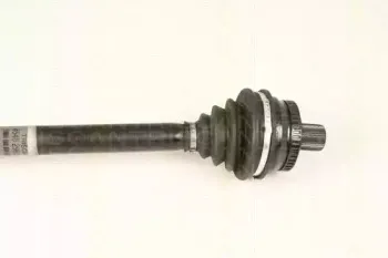 triscan-854029679