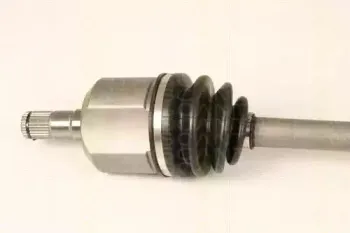 triscan-854029686