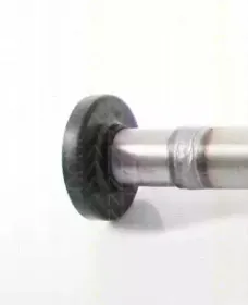 triscan-854029693