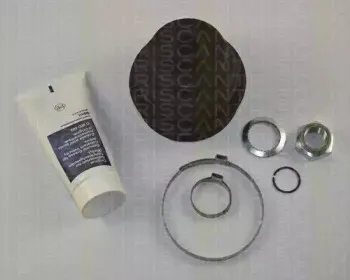 triscan-854029801