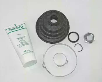 triscan-854029805