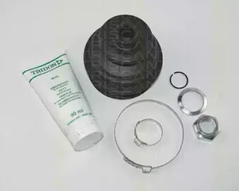 triscan-854029806