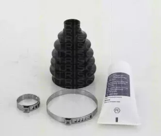 triscan-854029819
