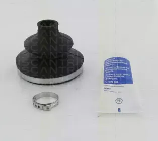 triscan-854029844