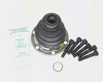 triscan-854029903