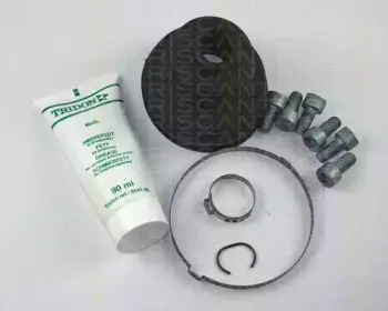 triscan-854029912