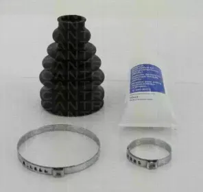 triscan-854029921