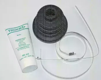 triscan-854032901