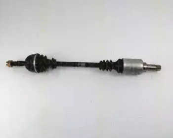triscan-854038505