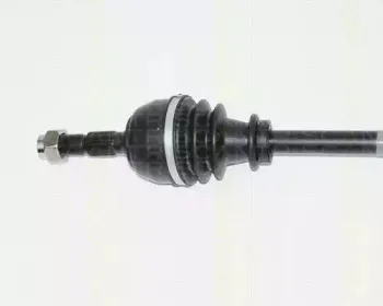 triscan-854038505