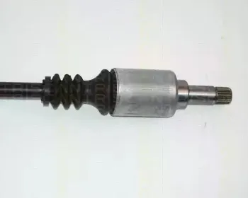 triscan-854038505
