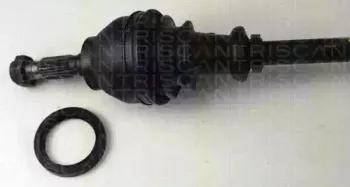 triscan-854038507