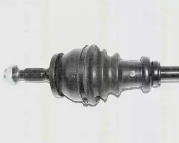 triscan-854038507
