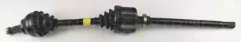 triscan-854038513