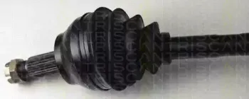 triscan-854038513