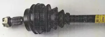 triscan-854038521