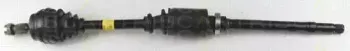 triscan-854038526