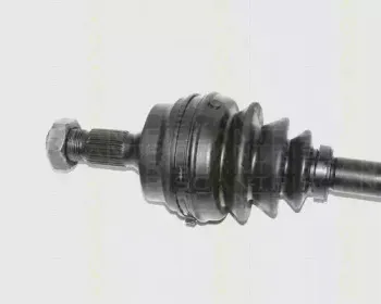 triscan-854038526