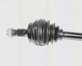 triscan-854038527