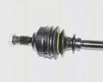triscan-854038545