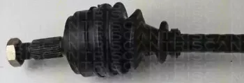 triscan-854038546