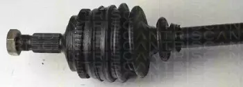 triscan-854038551