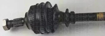 triscan-854038556