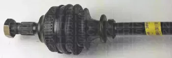 triscan-854038557