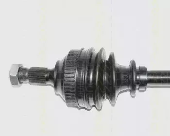 triscan-854038557