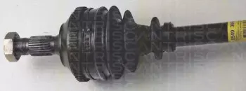 triscan-854038559