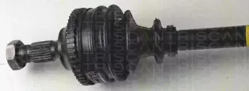 triscan-854038560