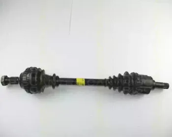 triscan-854038564
