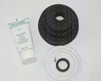 triscan-854038804