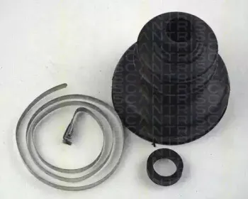 triscan-854038901