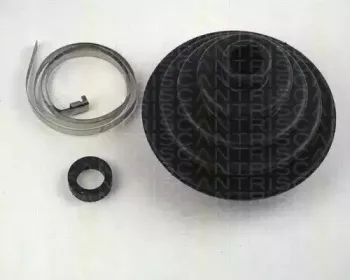 triscan-854038902