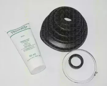 triscan-854038905