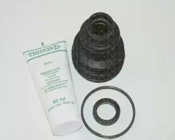 triscan-854038907