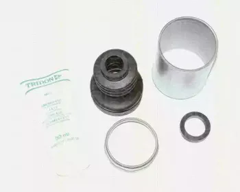 triscan-854038908