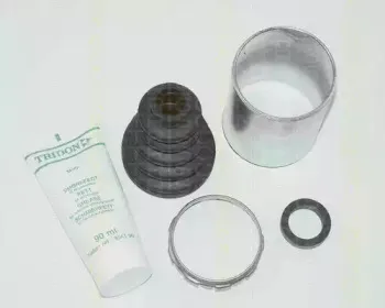 triscan-854038909