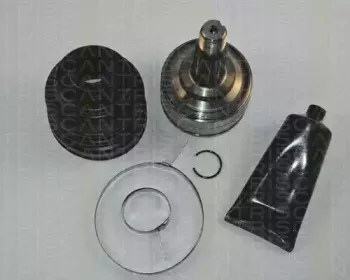 triscan-854040108