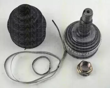 triscan-854040125