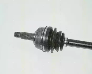 triscan-854040518
