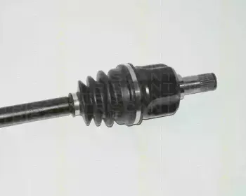 triscan-854040518