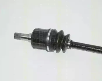 triscan-854040523