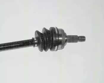 triscan-854040523