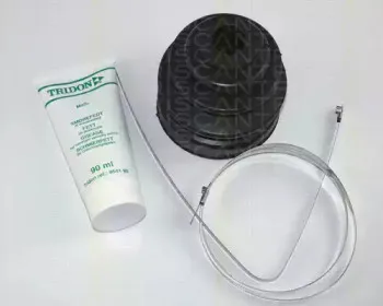 triscan-854040802