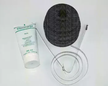 triscan-854040804