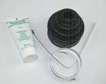 triscan-854040805